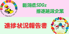SDGi