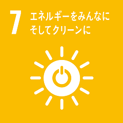 SDG07