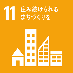 SDG11
