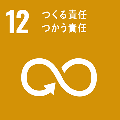 SDG12